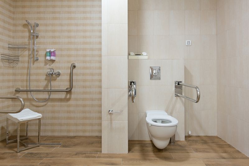 Bathroom Modification in Wright County, MN